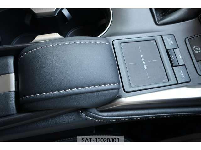 Lexus NX 2015-12 300539-19
