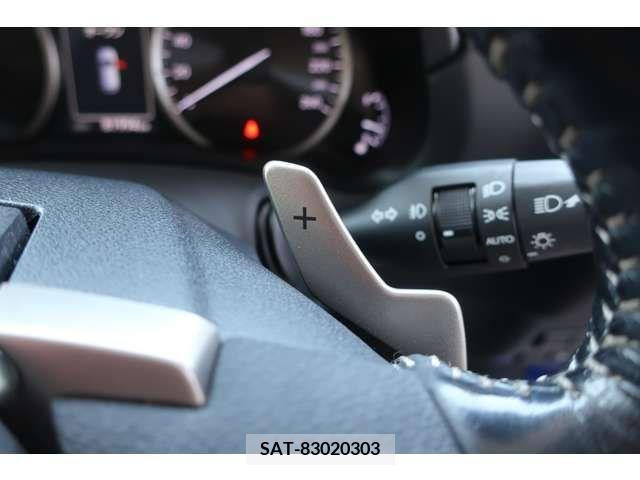 Lexus NX 2015-12 300539-18