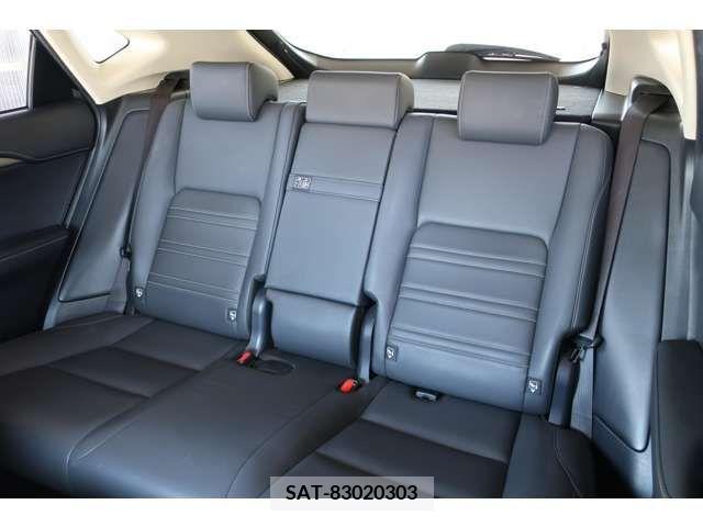 Lexus NX 2015-12 300539-7