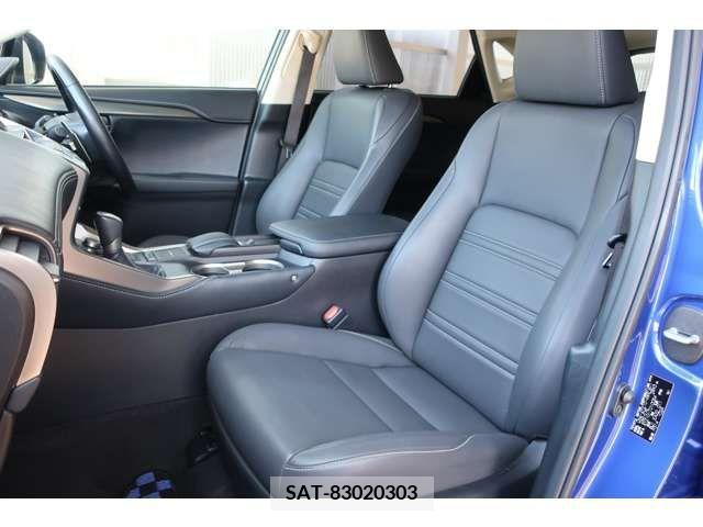 Lexus NX 2015-12 300539-5