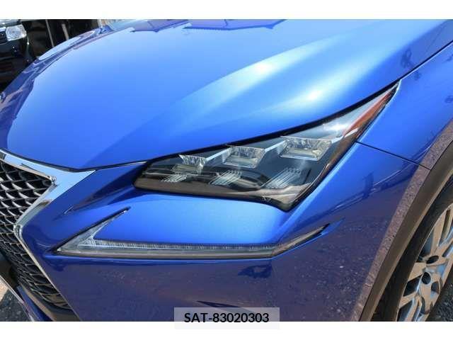 Lexus NX 2015-12 300539-4