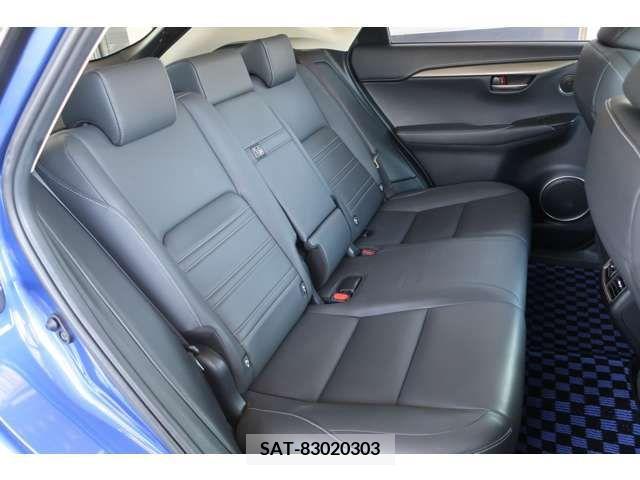 Lexus NX 2015-12 300539-6
