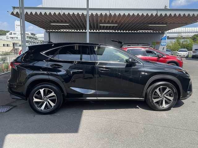 Lexus NX 2018-03 20765-13