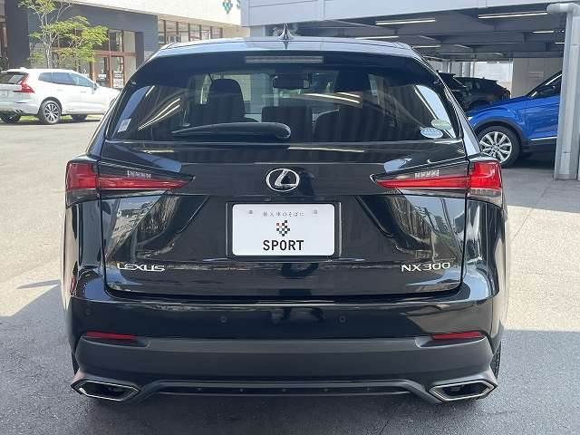 Lexus NX 2018-03 20765-12