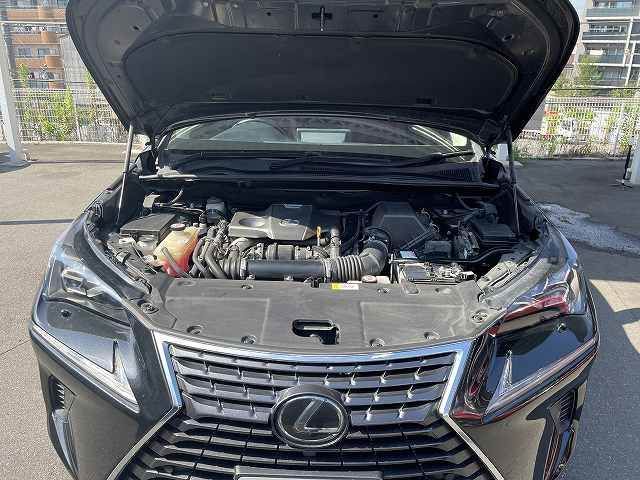 Lexus NX 2018-03 20765-19