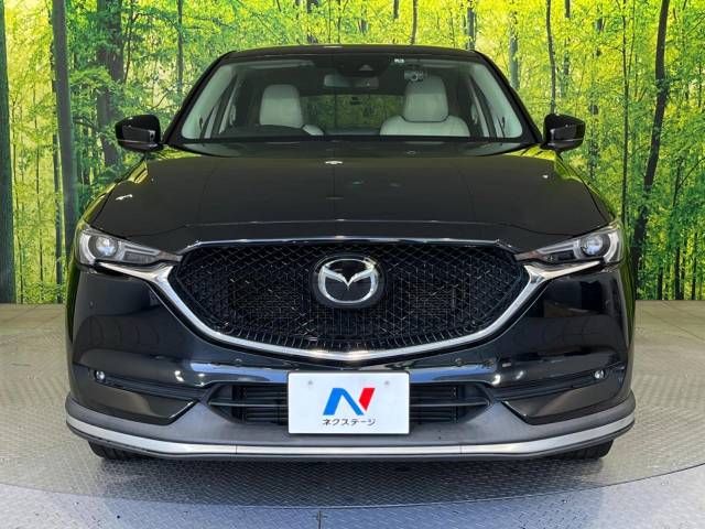 Mazda CX-5 2017-06 19746-14