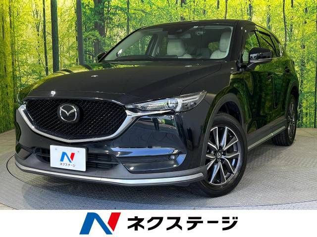 Mazda CX-5 2017-06 19746-0
