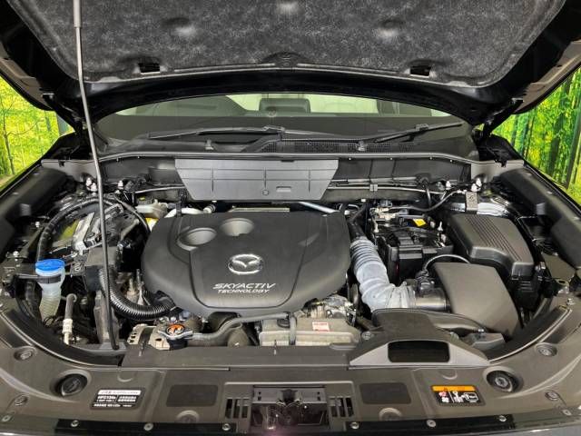Mazda CX-5 2017-06 19746-18