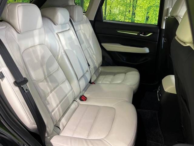 Mazda CX-5 2017-06 19746-9
