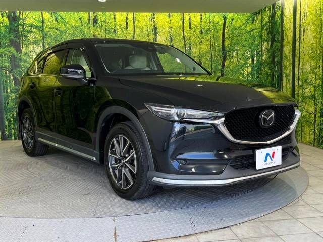 Mazda CX-5 2017-06 19746-16