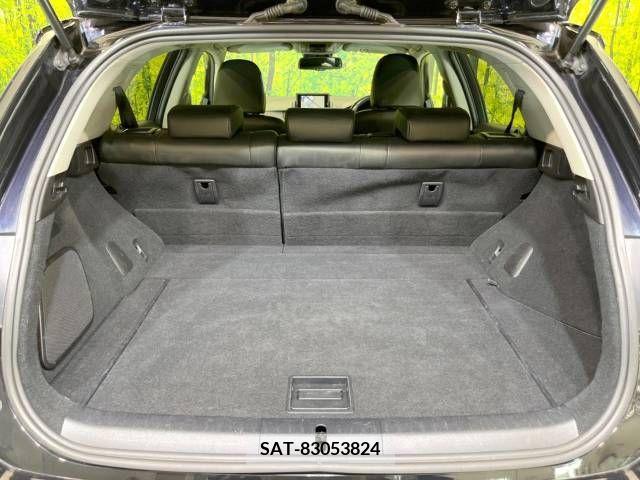 Lexus CT 2013-03 391809-10