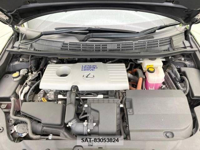 Lexus CT 2013-03 391809-19