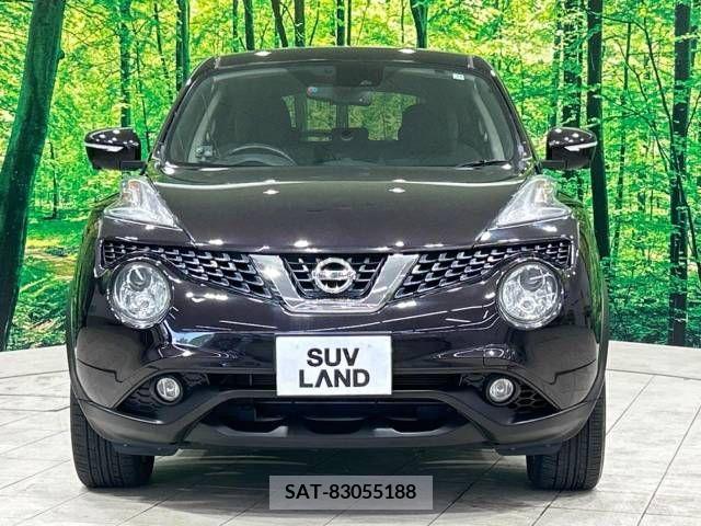 Nissan JUKE 2015-11 343489-14