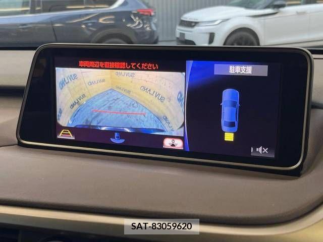 Lexus RX 2016-10 326607-3