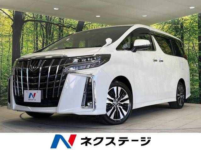 Toyota ALPHARD 2022-11 180624-0