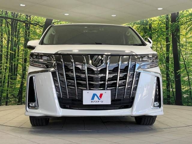 Toyota ALPHARD 2022-11 180624-15