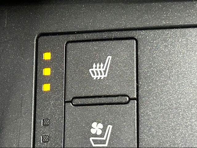 Lexus IS 2021-01 187795-7