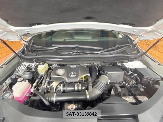 Lexus RX 2019-01 299718-18