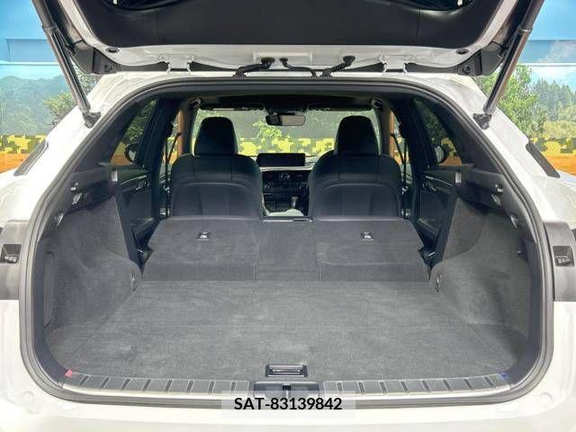 Lexus RX 2019-01 299718-10