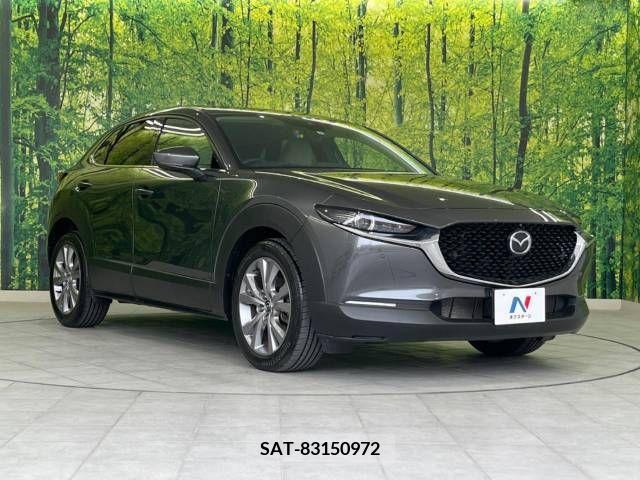 Mazda CX-30 2021-08 295569-16