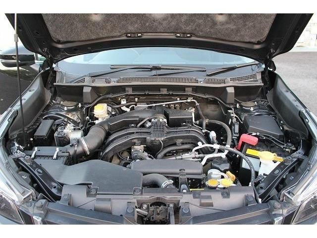 Subaru FORESTER 2019-02 17391-17