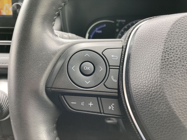 Toyota RAV4 2020-11 25043-17