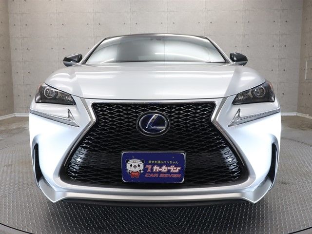 Lexus NX 2015-02 189699-20
