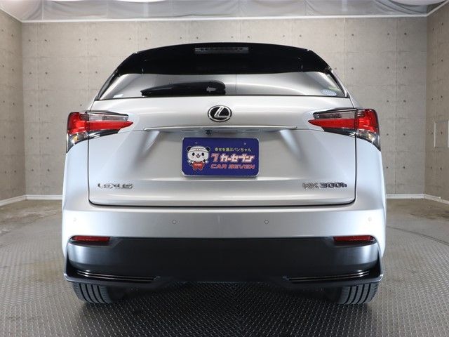 Lexus NX 2015-02 189699-23