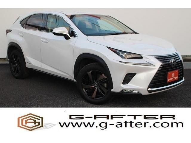 Lexus NX 2017-09 21795-0