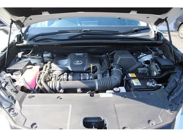 Lexus NX 2017-07 8381-17