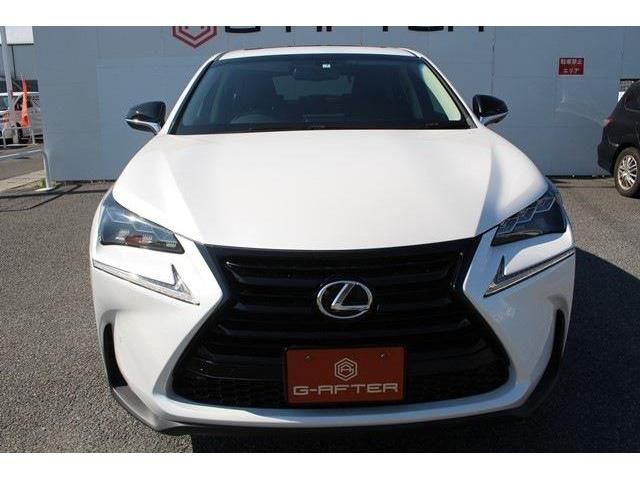 Lexus NX 2017-07 8381-7