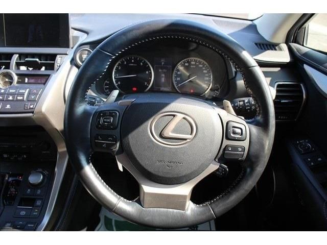 Lexus NX 2017-07 8381-16