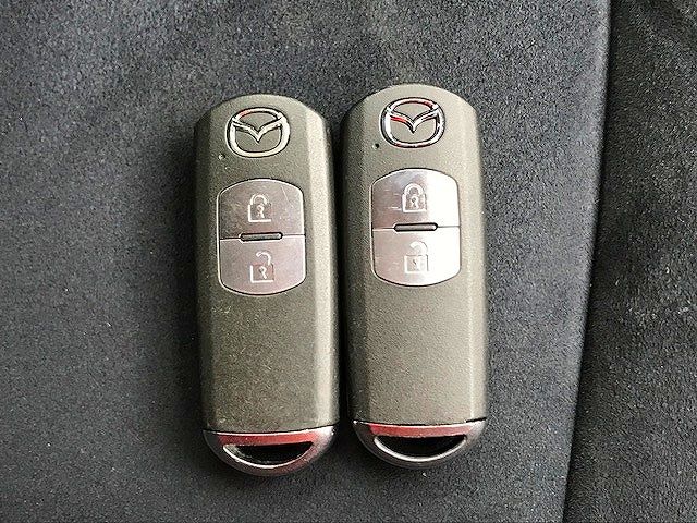 Mazda AXELA SPORT 2014-01 195056-17