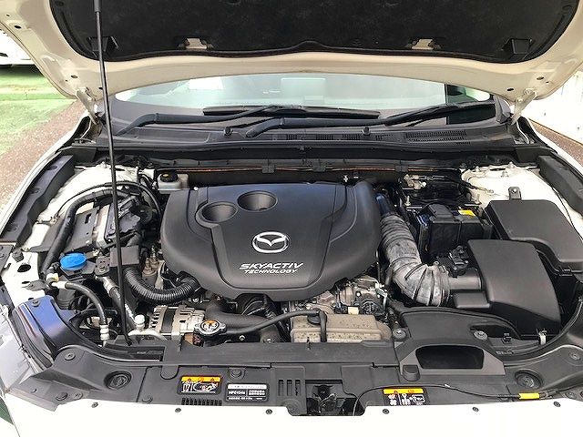 Mazda AXELA SPORT 2014-01 195056-27
