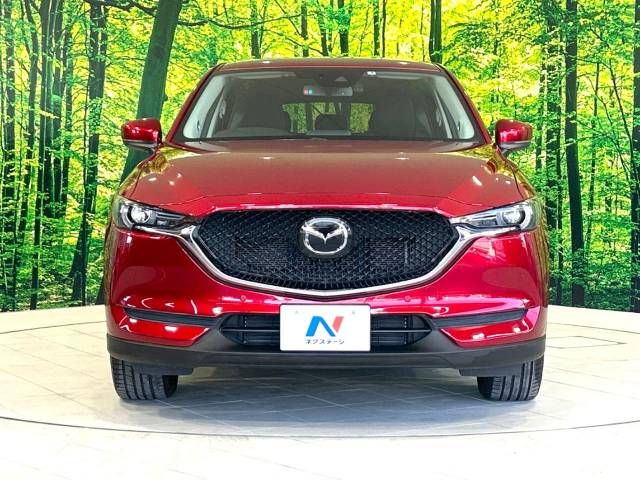 Mazda CX-5 2017-01 191741-14