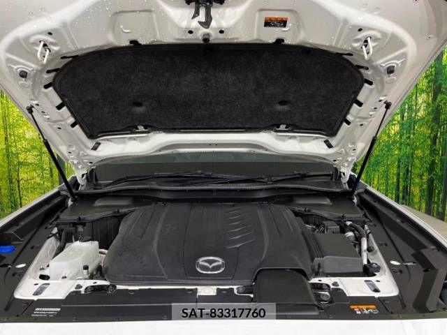 Mazda CX-60 2023-01 295994-16
