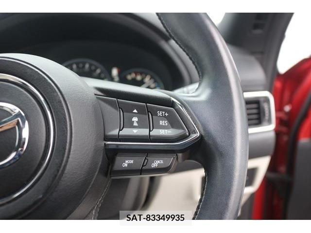 Mazda CX-8 2019-12 266192-3