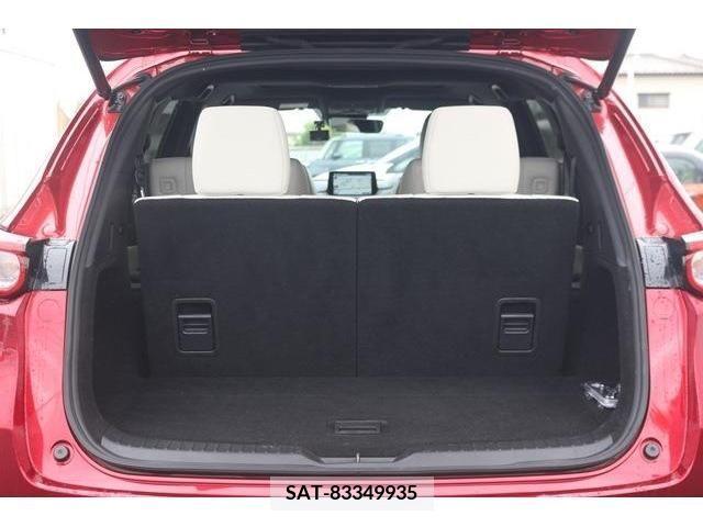 Mazda CX-8 2019-12 266192-16