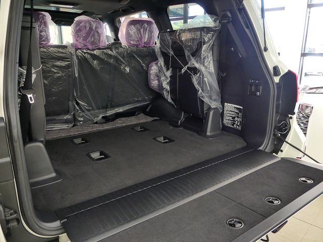 Toyota LAND CRUISER 2020-09 29179-18