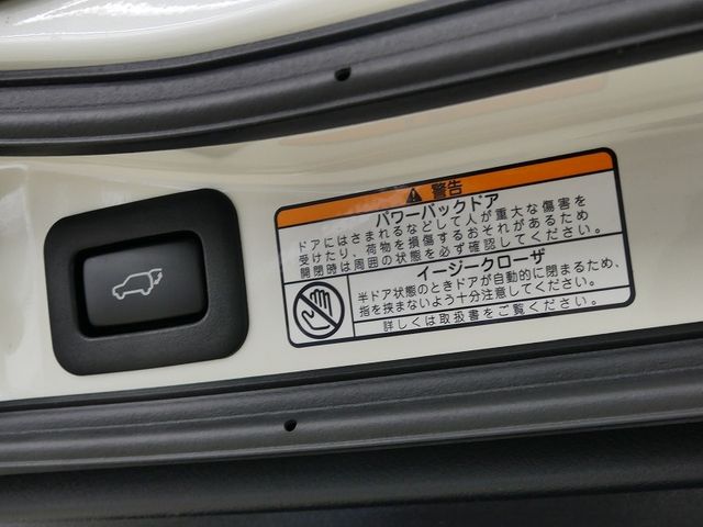 Toyota LAND CRUISER 2020-09 29179-19