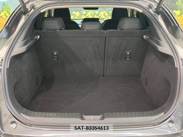 Mazda CX-30 2020-02 295634-10