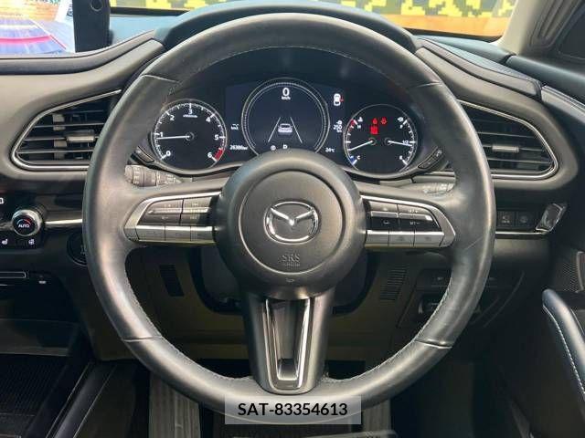 Mazda CX-30 2020-02 295634-11