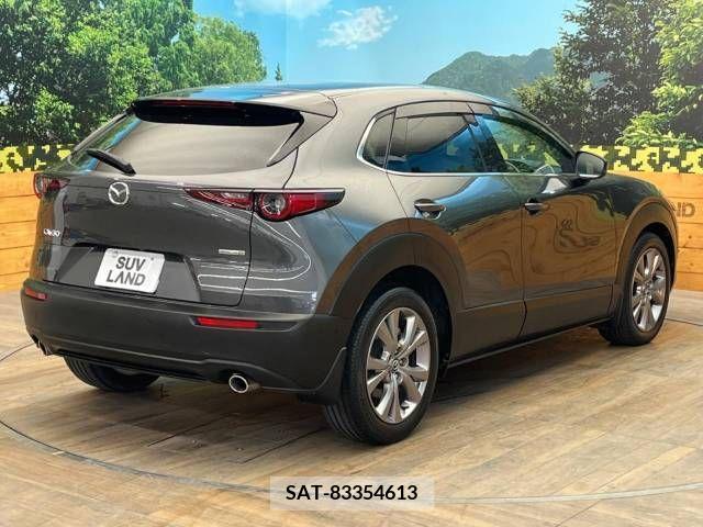 Mazda CX-30 2020-02 295634-17