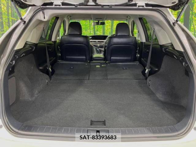 Lexus RX 2012-08 354292-10