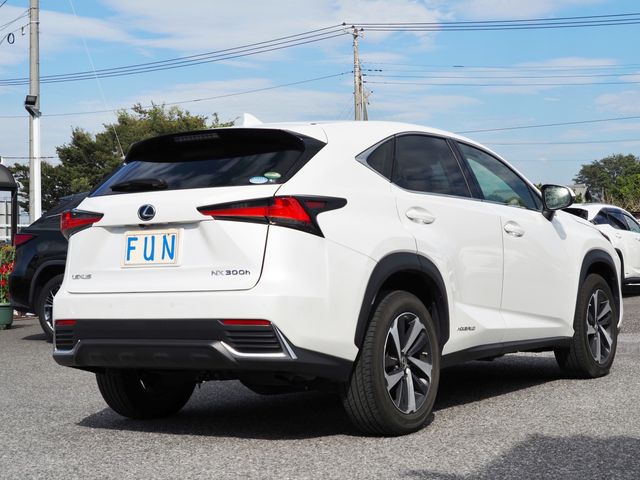 Lexus NX 2020-10 20500-4