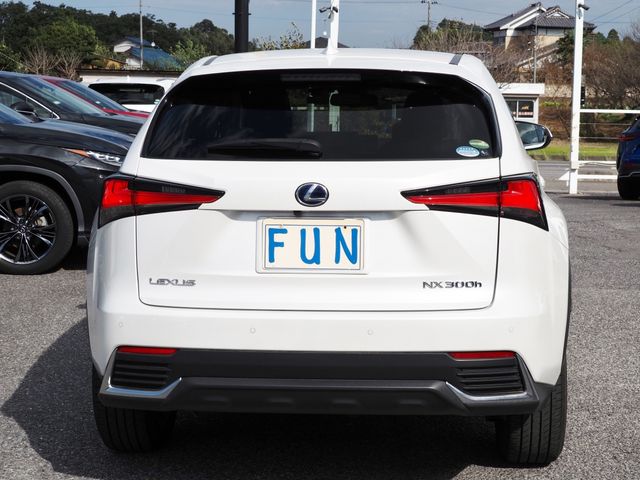 Lexus NX 2020-10 20500-6