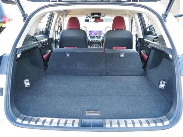 Lexus NX 2020-10 20500-17