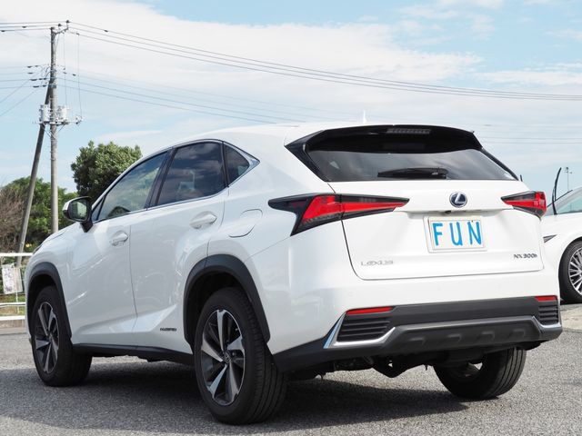 Lexus NX 2020-10 20500-5