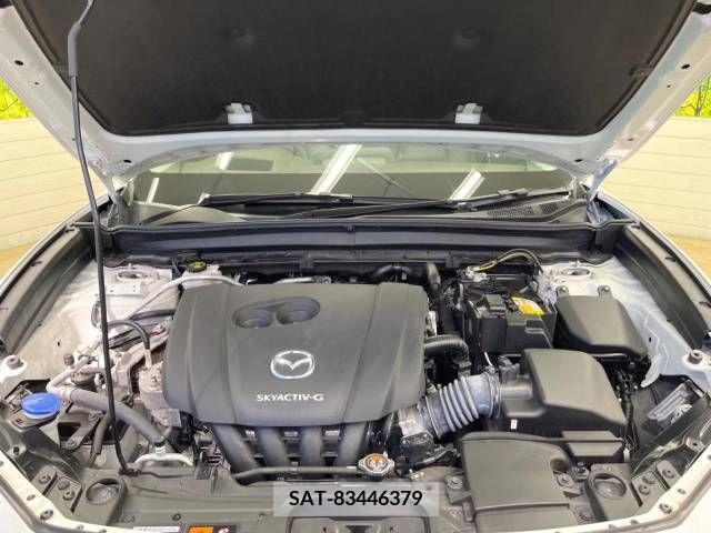 Mazda CX-30 2021-06 244092-18