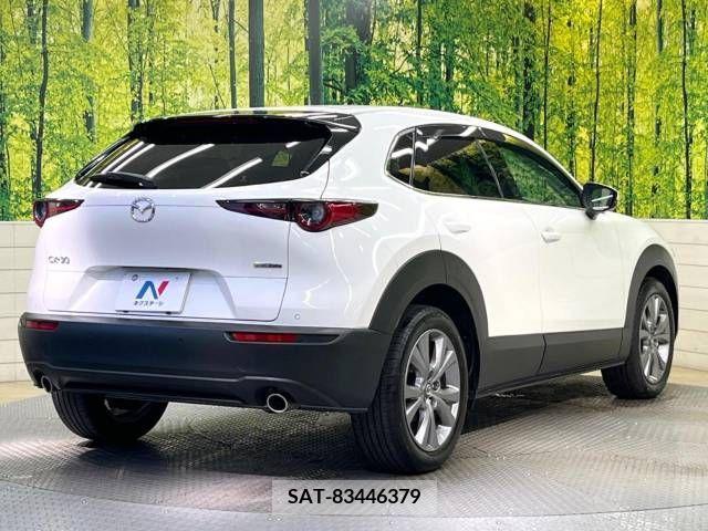 Mazda CX-30 2021-06 244092-17